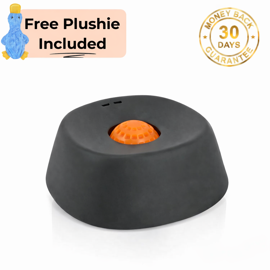 Pawwfect™ Slow Lick Dog Bowl