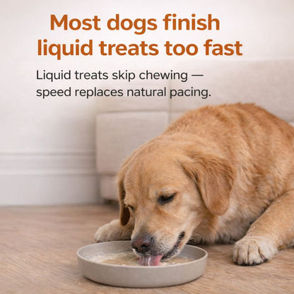 Pawwfect™ Slow Lick Dog Bowl