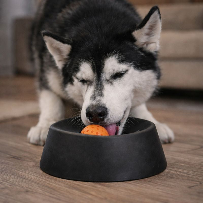 Pawwfect™ Slow Lick Dog Bowl