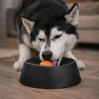 Pawwfect™ Slow Lick Dog Bowl